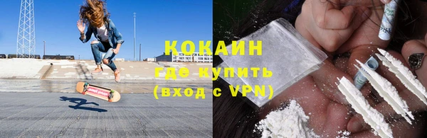 шишки Горняк