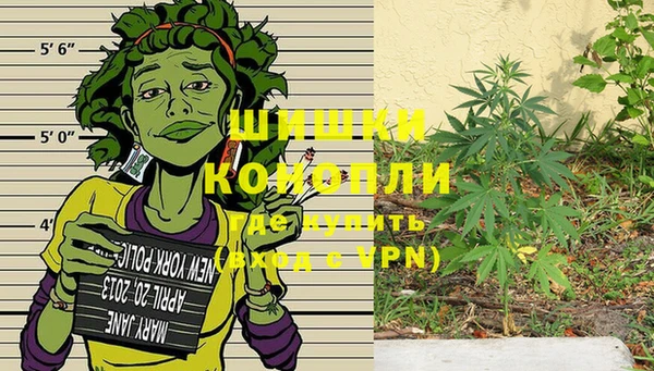 ALPHA PVP Горнозаводск