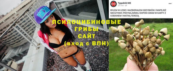 крисы Гусев