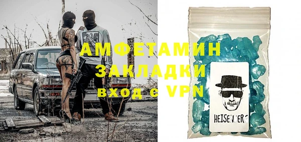 шишки Горняк