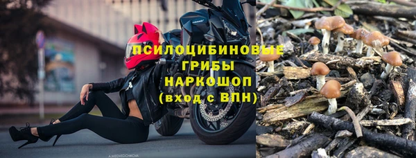 ALPHA PVP Горнозаводск