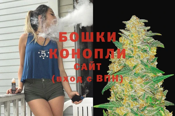 шишки Горняк