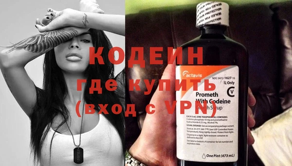 шишки Горняк