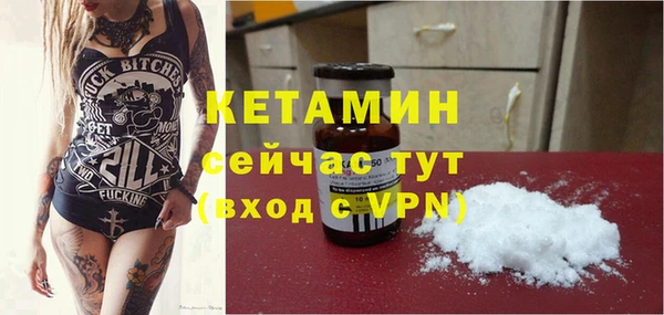 шишки Горняк