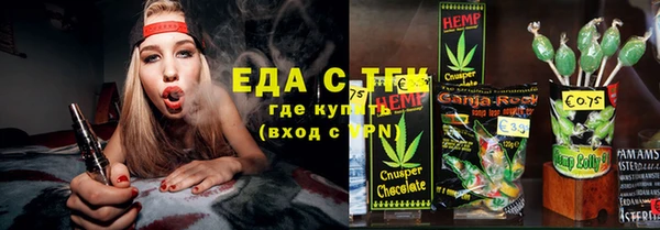 шишки Горняк